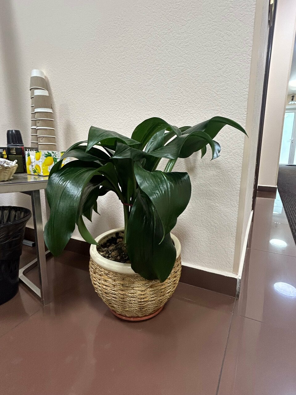 Гостиница Байкал Иркутск-63