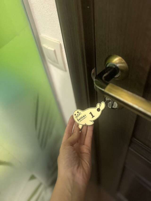 Гостиница Байкал Иркутск-126